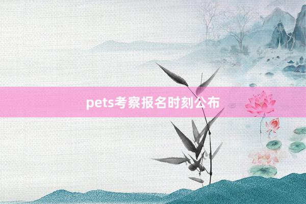 pets考察报名时刻公布
