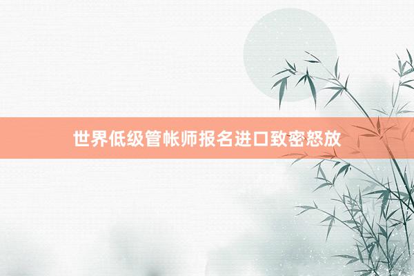 世界低级管帐师报名进口致密怒放