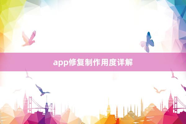 app修复制作用度详解